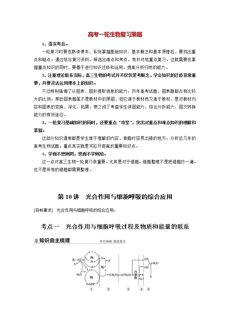 高考生物一轮复习  第3单元 第10讲　光合作用与细胞呼吸的综合应用第1页