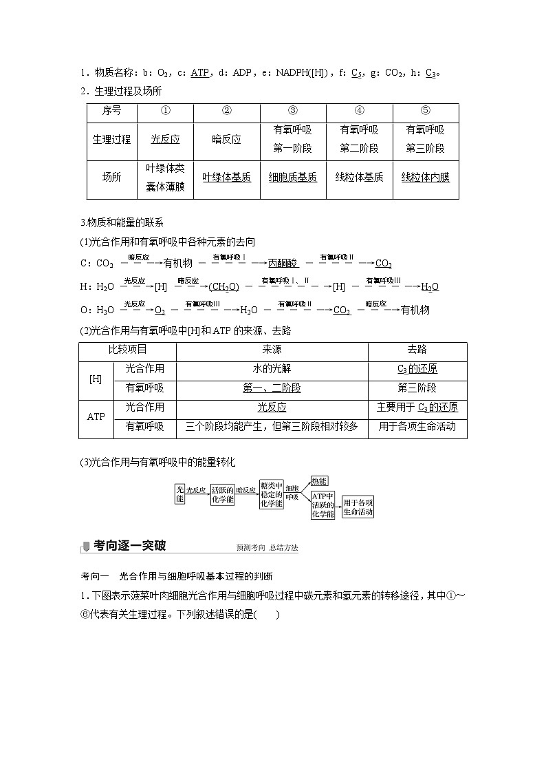 高考生物一轮复习  第3单元 第10讲　光合作用与细胞呼吸的综合应用第2页
