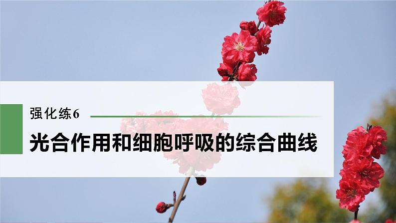 高考生物一轮复习  第3单元 强化练6　光合作用和细胞呼吸的综合曲线第3页