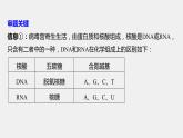 高考生物一轮复习课件+讲义  第3单元 实验技能一   实验设计的基本原则