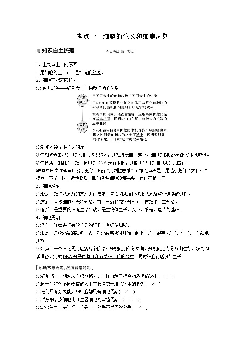 高考生物一轮复习课件+讲义  第4单元 第11讲　细胞的增殖02