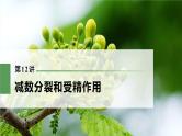 高考生物一轮复习课件+讲义  第4单元 第12讲　减数分裂和受精作用