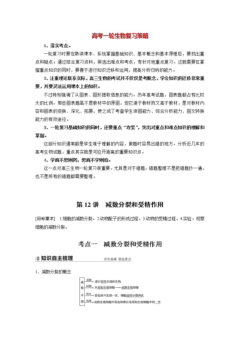 高考生物一轮复习课件+讲义  第4单元 第12讲　减数分裂和受精作用01