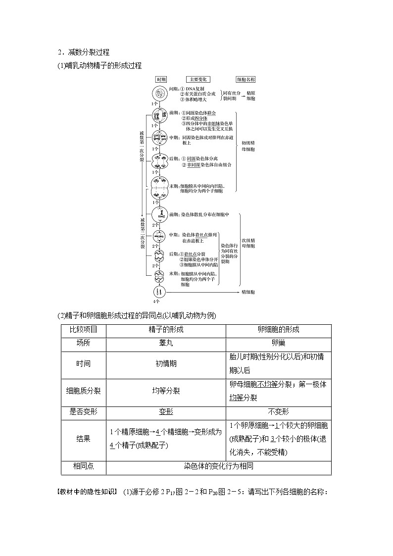 高考生物一轮复习课件+讲义  第4单元 第12讲　减数分裂和受精作用02
