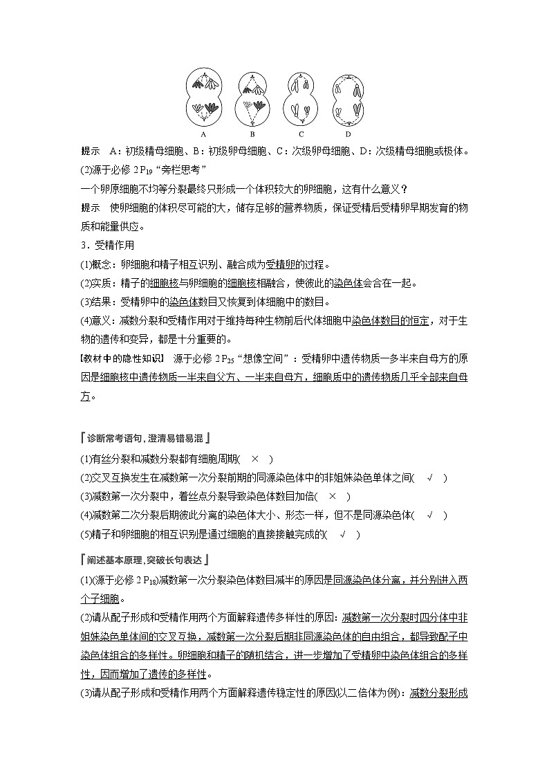 高考生物一轮复习课件+讲义  第4单元 第12讲　减数分裂和受精作用03
