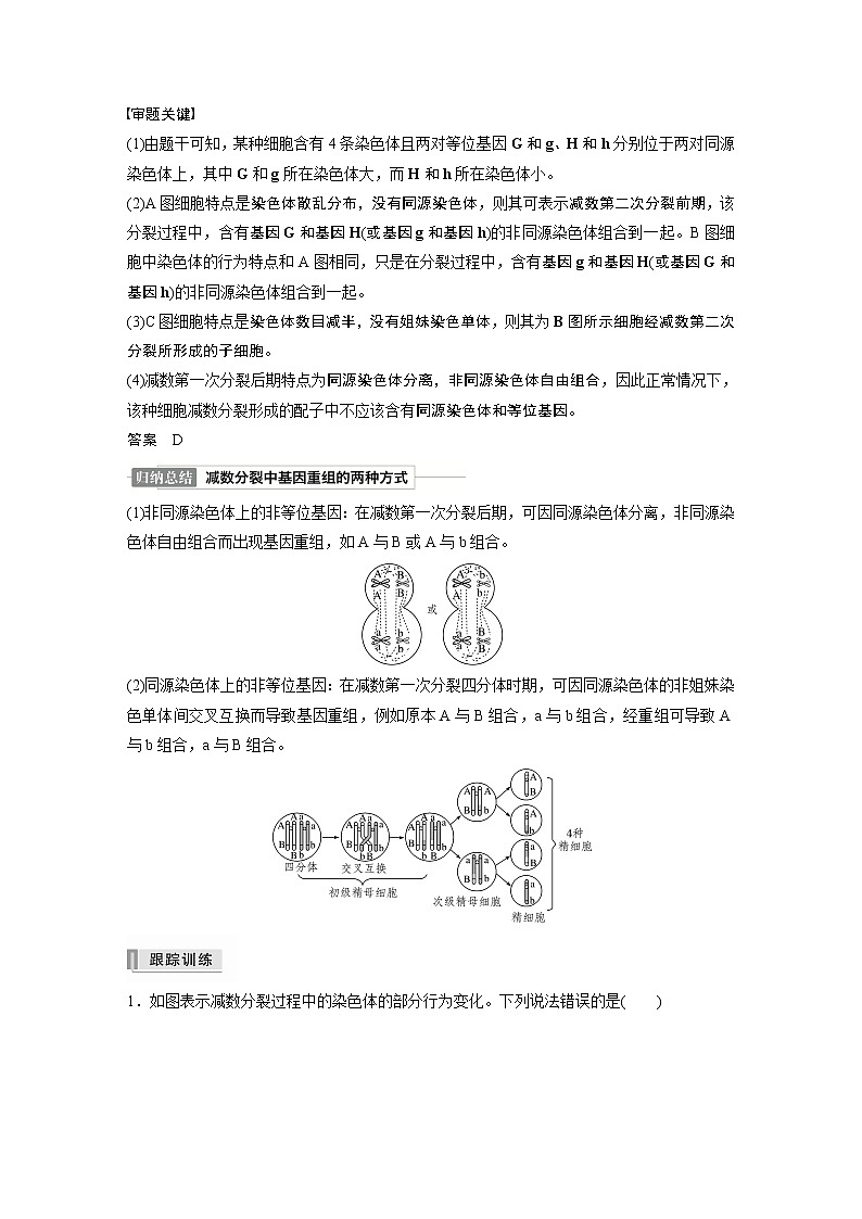 高考生物一轮复习  第4单元 第12讲　热点题型二　减数分裂与可遗传变异的关系分析第2页