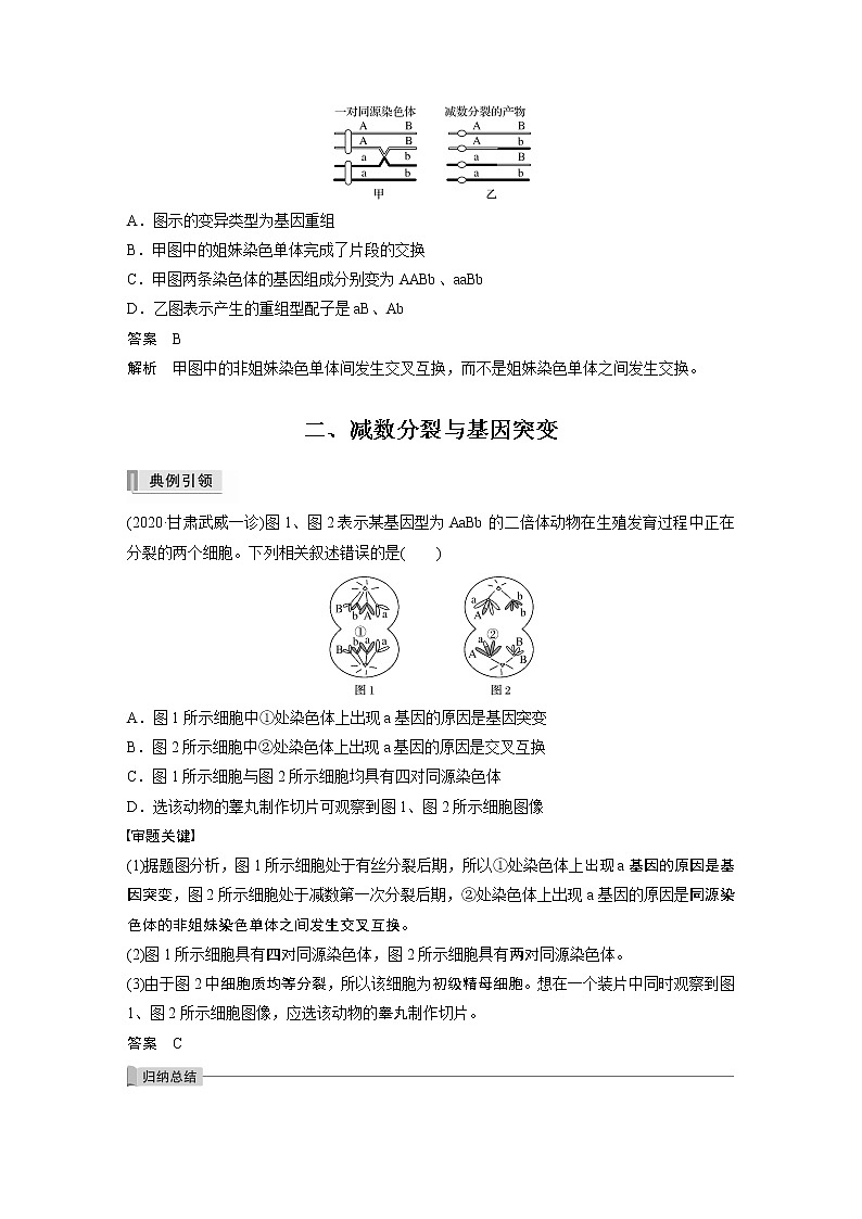 高考生物一轮复习  第4单元 第12讲　热点题型二　减数分裂与可遗传变异的关系分析第3页