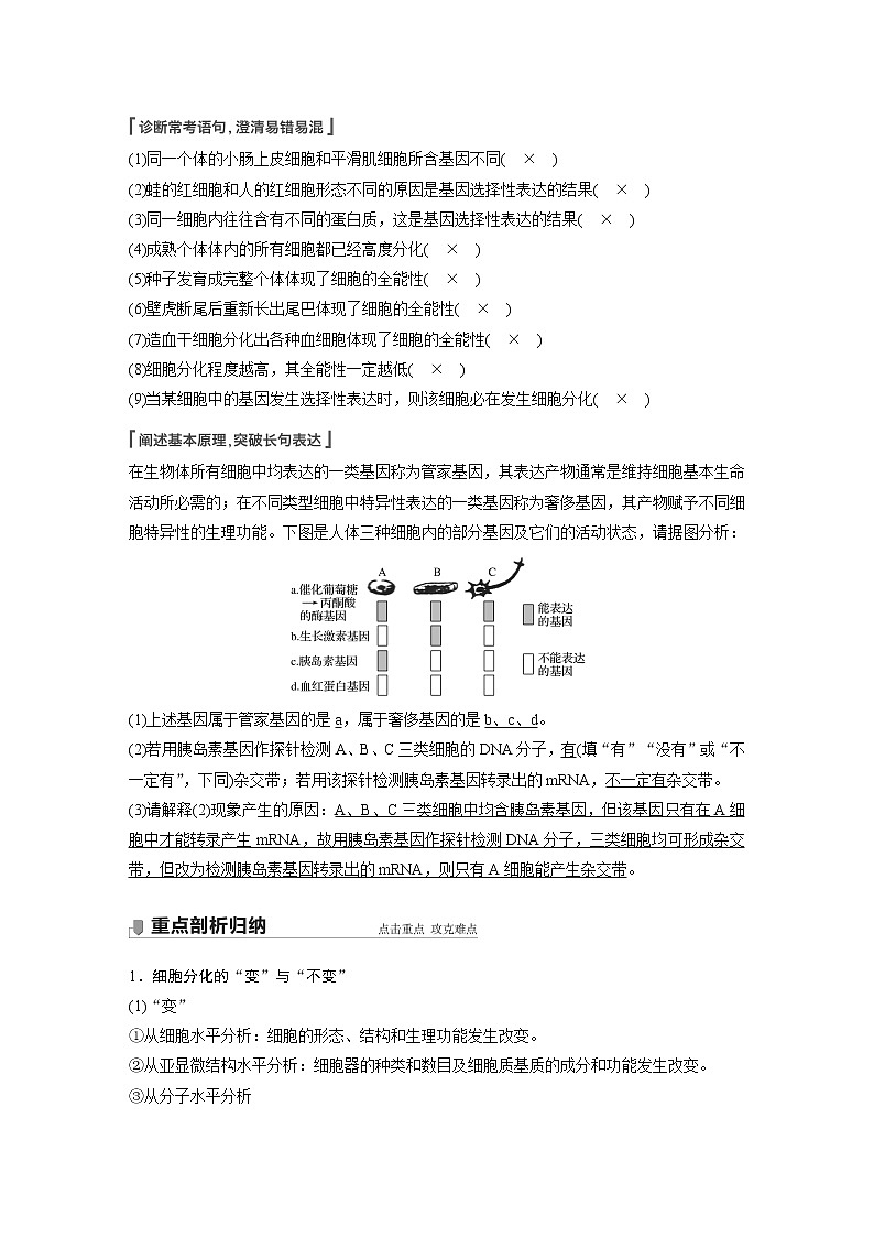 高考生物一轮复习课件+讲义  第4单元 第13讲　细胞的分化、衰老、凋亡与癌变03