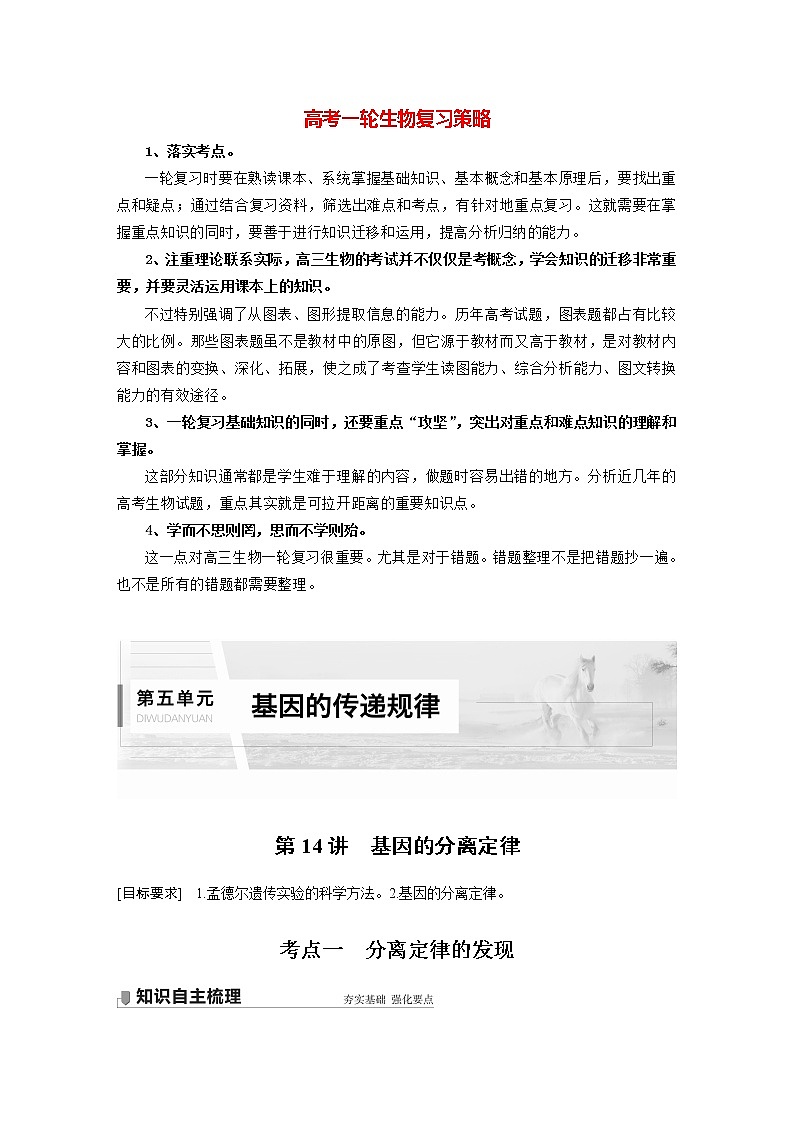 高考生物一轮复习课件+讲义  第5单元 第14讲　基因的分离定律01