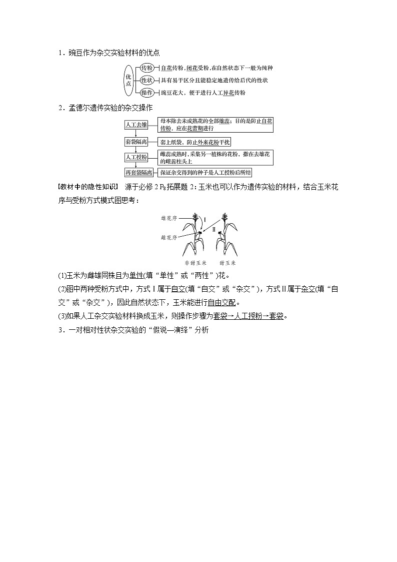 高考生物一轮复习课件+讲义  第5单元 第14讲　基因的分离定律02