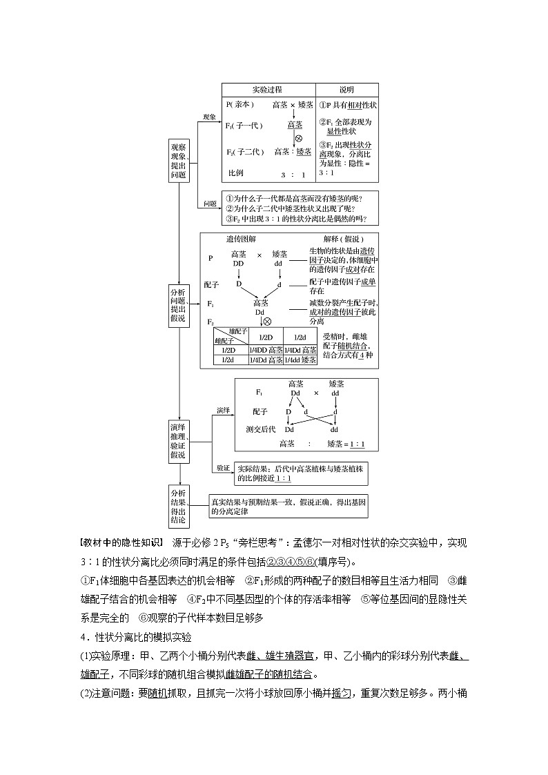 高考生物一轮复习课件+讲义  第5单元 第14讲　基因的分离定律03