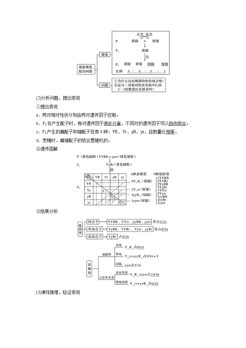 高考生物一轮复习  第5单元 第15讲　基因的自由组合定律第2页