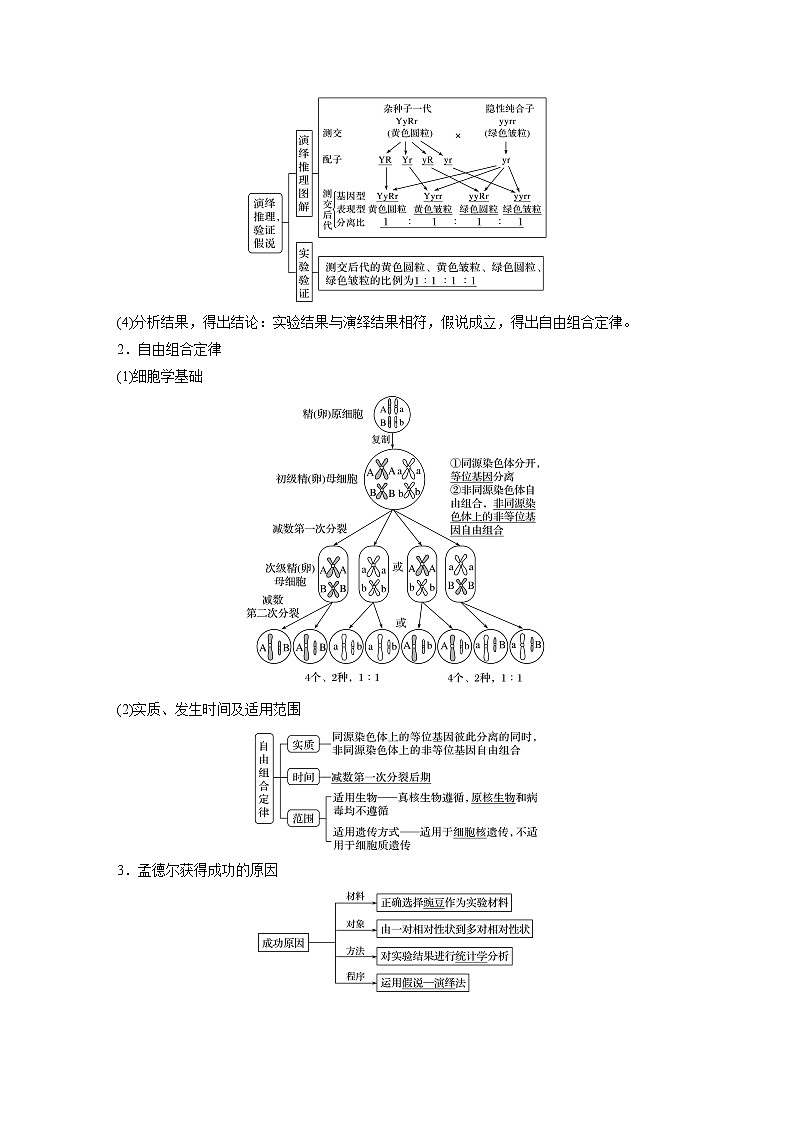 高考生物一轮复习  第5单元 第15讲　基因的自由组合定律第3页