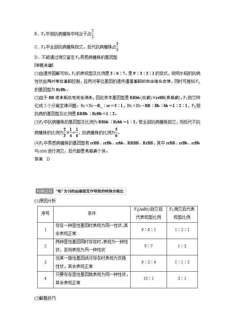 高考生物一轮复习课件+讲义  第5单元 第15讲　热点题型四　自由组合定律中的特殊比例和实验探究02