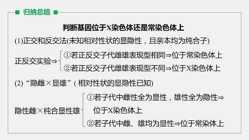 高考生物一轮复习课件+讲义  第5单元 第16讲　热点题型五　基因在染色体的位置判断06