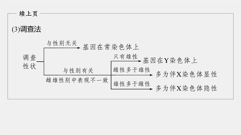 高考生物一轮复习课件+讲义  第5单元 第16讲　热点题型五　基因在染色体的位置判断07