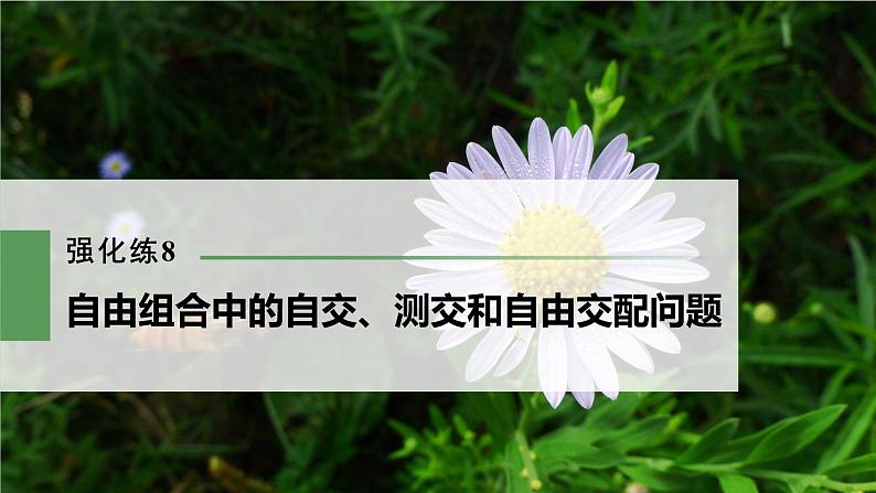 高考生物一轮复习  第5单元 强化练8　自由组合中的自交、测交和自由交配问题第3页