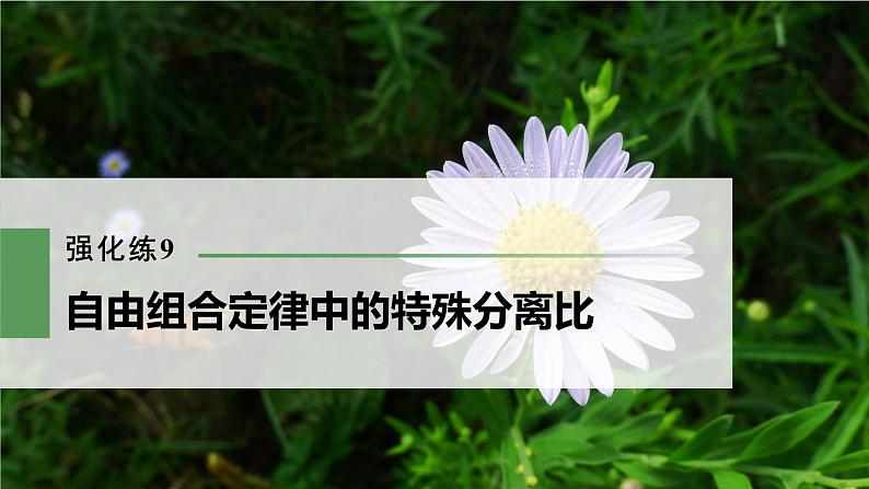 高考生物一轮复习  第5单元 强化练9　自由组合定律中的特殊分离比第3页