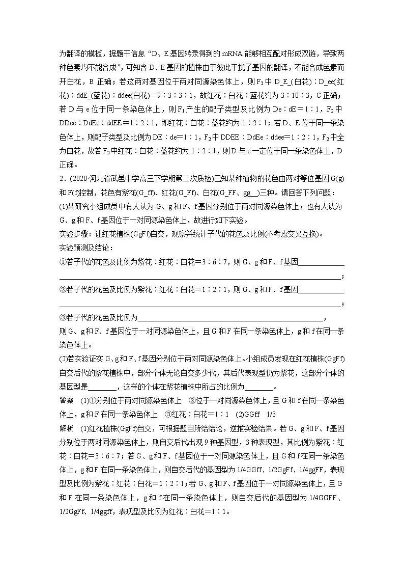 高考生物一轮复习课件+讲义  第5单元 强化练10　探究不同对基因在常染色体上的位置问题02