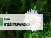 高考生物一轮复习课件+讲义  第5单元 强化练11　伴性遗传相关实验设计