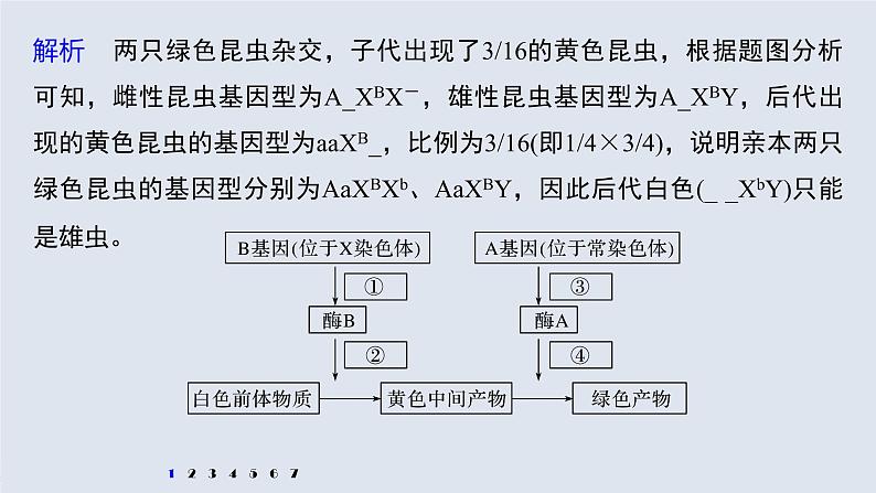 高考生物一轮复习  第5单元 强化练11　伴性遗传相关实验设计第5页