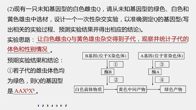 高考生物一轮复习  第5单元 强化练11　伴性遗传相关实验设计第6页