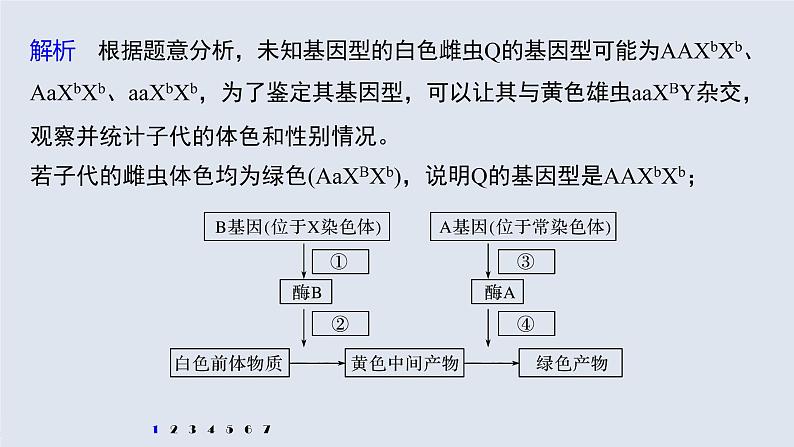 高考生物一轮复习  第5单元 强化练11　伴性遗传相关实验设计第7页