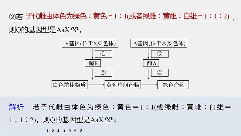 高考生物一轮复习  第5单元 强化练11　伴性遗传相关实验设计第8页