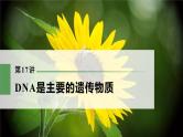 高考生物一轮复习课件+讲义  第6单元 第17讲　DNA是主要的遗传物质
