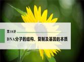 高考生物一轮复习课件+讲义  第6单元 第18讲　DNA分子的结构、复制及基因的本质