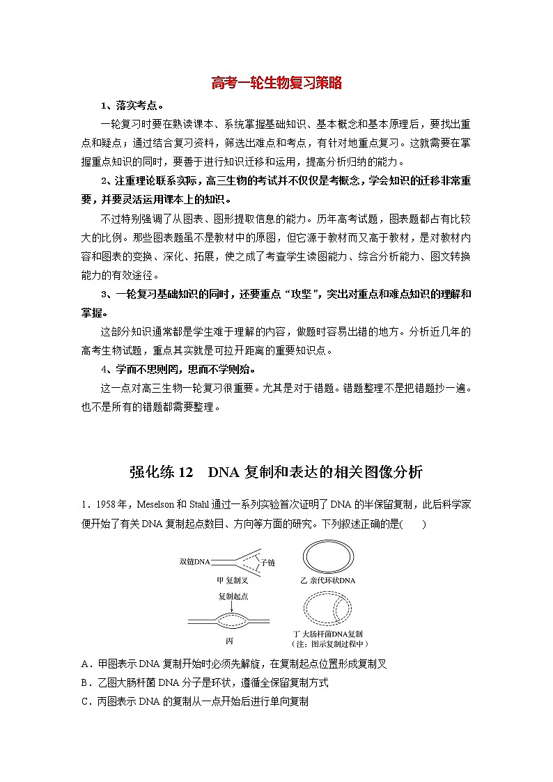 高考生物一轮复习  第6单元 强化练12　DNA复制和表达的相关图像分析第1页