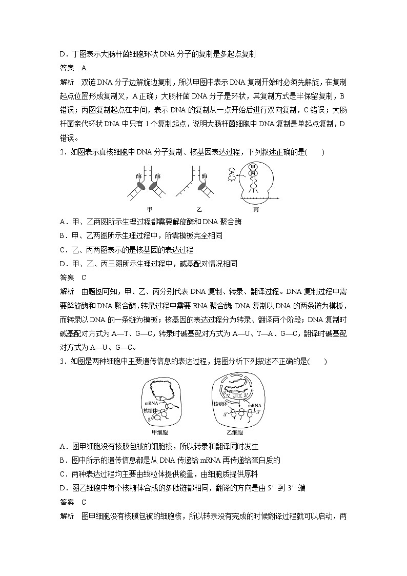 高考生物一轮复习  第6单元 强化练12　DNA复制和表达的相关图像分析第2页