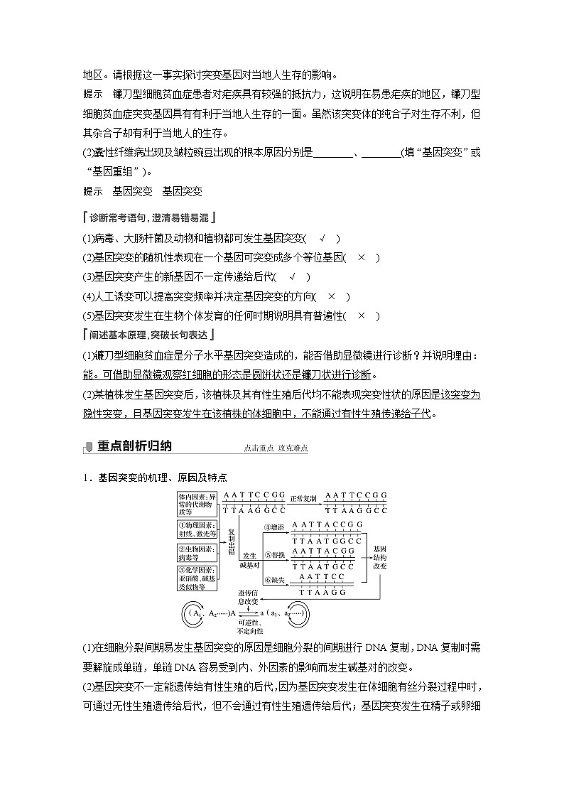 高考生物一轮复习  第7单元 第20讲　基因突变和基因重组第3页