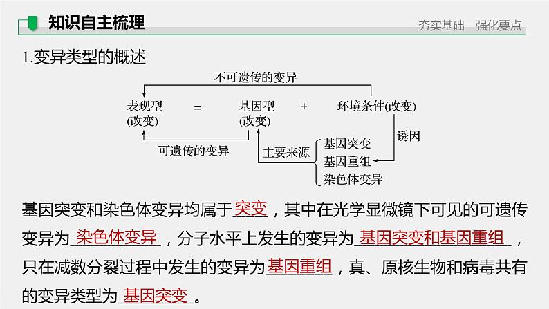 高考生物一轮复习  第7单元 第20讲　基因突变和基因重组第7页