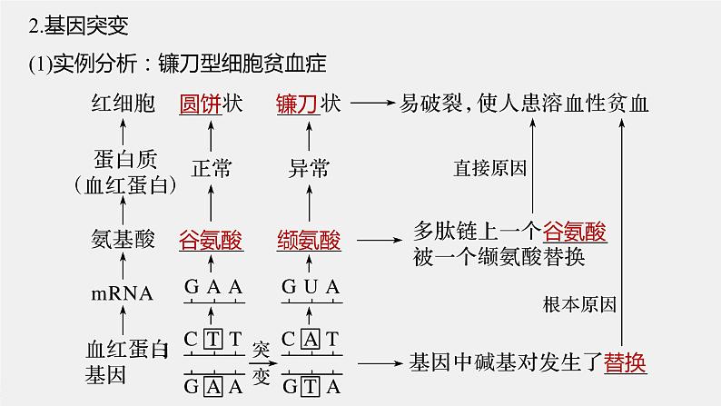 高考生物一轮复习  第7单元 第20讲　基因突变和基因重组第8页