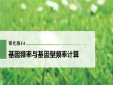 高考生物一轮复习课件+讲义  第7单元 强化练14　基因频率与基因型频率计算