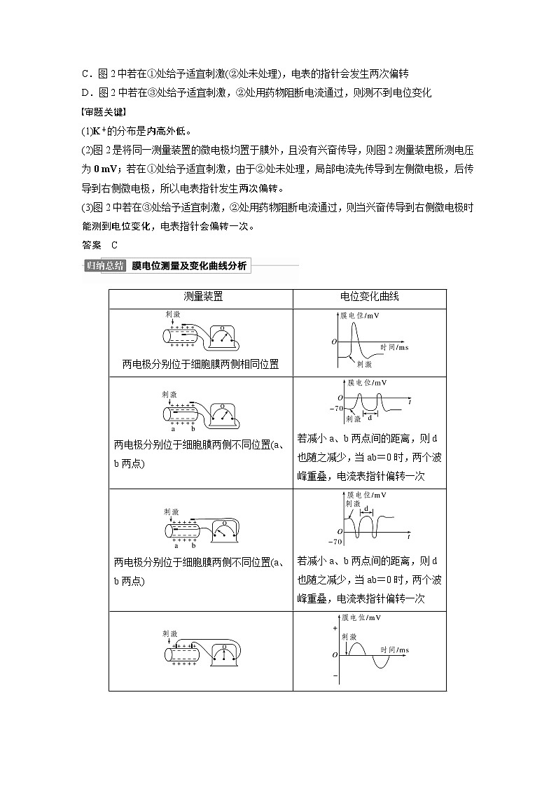 高考生物一轮复习  第8单元 第24讲  热点题型七   兴奋传导与传递的相关实验探究题第2页