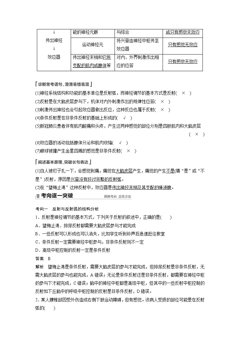 高考生物一轮复习课件+讲义  第8单元 第24讲　通过神经系统的调节03