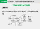 高考生物一轮复习课件+讲义  第8单元 第25讲   热点题型八　动物生命活动调节模型的构建与分析