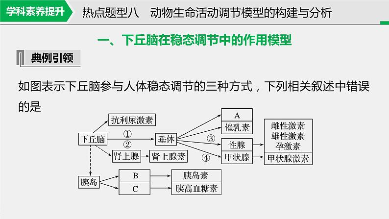 高考生物一轮复习课件+讲义  第8单元 第25讲   热点题型八　动物生命活动调节模型的构建与分析03