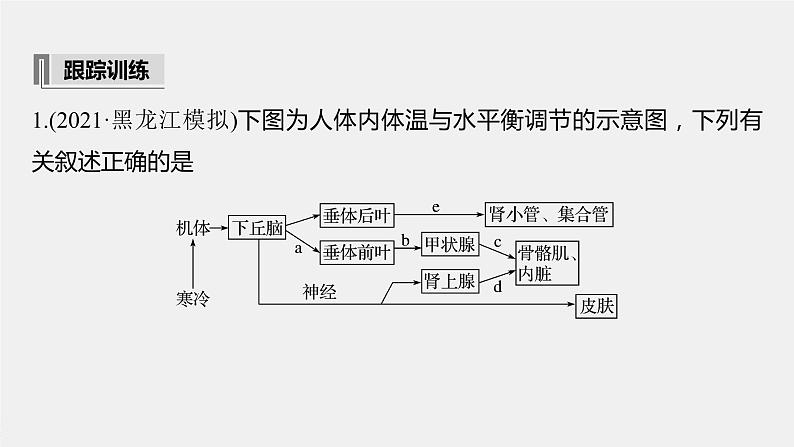 高考生物一轮复习课件+讲义  第8单元 第25讲   热点题型八　动物生命活动调节模型的构建与分析08