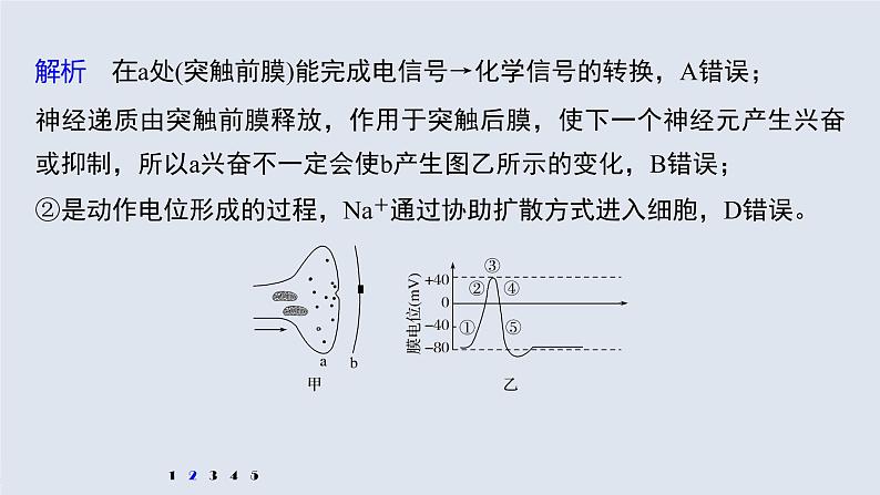 高考生物一轮复习  第8单元 强化练15　兴奋传导的电位变化和电流表指针偏转问题第7页