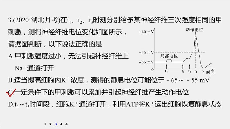 高考生物一轮复习  第8单元 强化练15　兴奋传导的电位变化和电流表指针偏转问题第8页