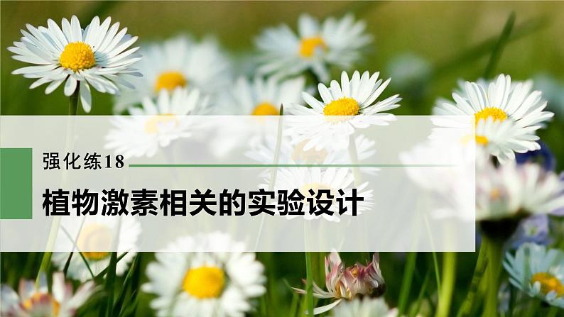 高考生物一轮复习课件+讲义  第8单元 强化练18　植物激素相关的实验设计03