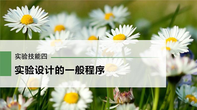 高考生物一轮复习课件+讲义  第8单元 实验技能四   实验设计的一般程序03