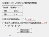 高考生物一轮复习课件+讲义  第10单元 强化练21　PCR技术的应用