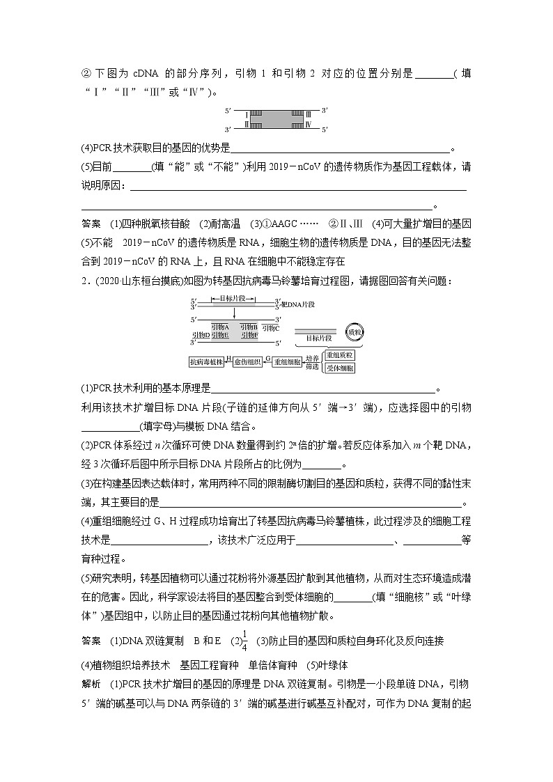 高考生物一轮复习课件+讲义  第10单元 强化练21　PCR技术的应用02