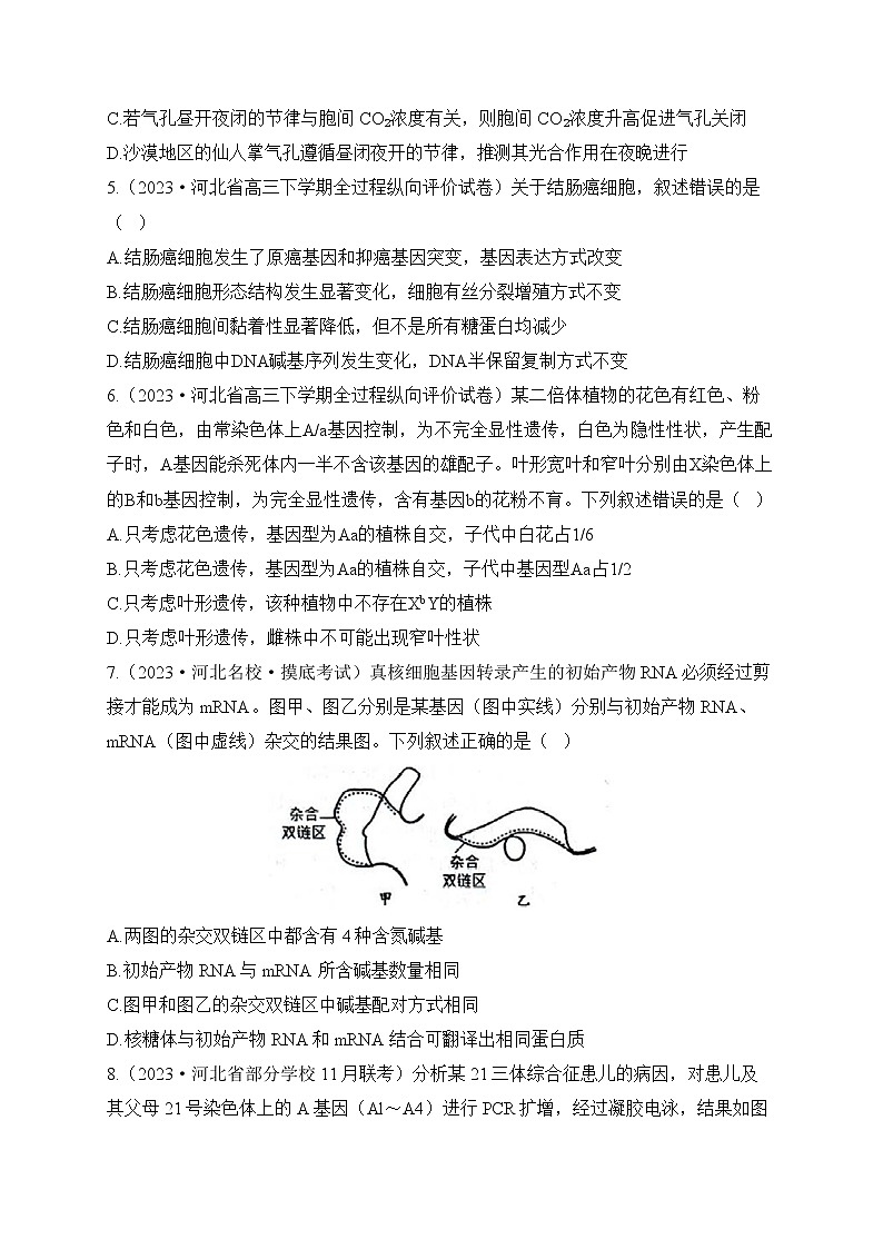 2023届河北省高三高考生物模拟试题精编卷（含答案）第2页