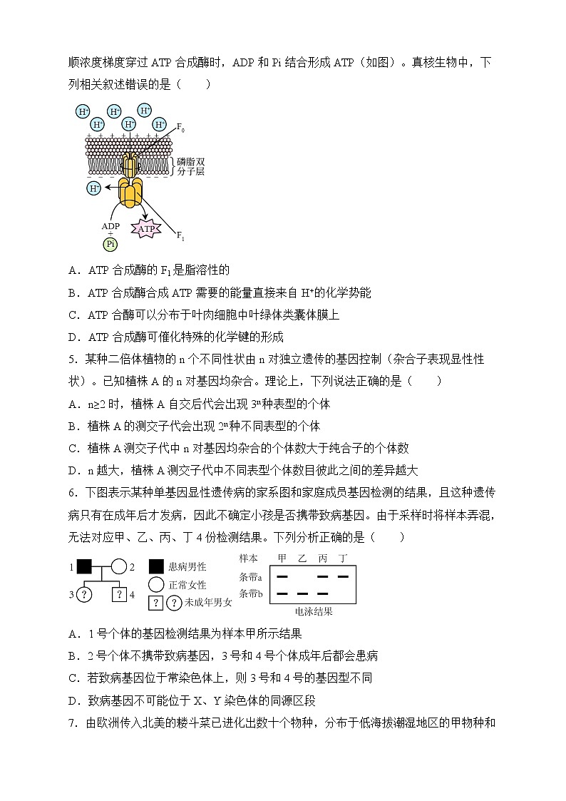 2023年高考生物考前冲刺训练（山东适用）（含答案）第2页