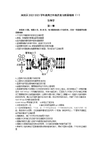 天津市河北区2023届高三第一次模拟考试生物试题（含答案）